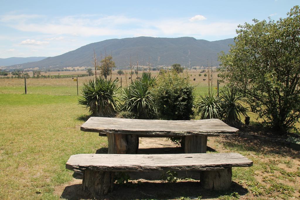 Mountain View Motel Corryong Eksteriør billede