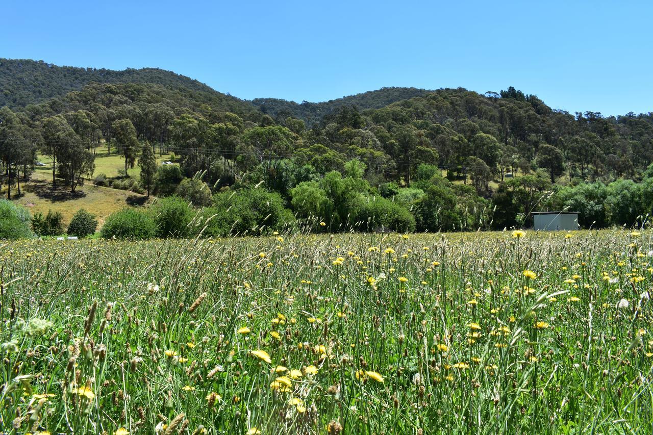 Mountain View Motel Corryong Eksteriør billede