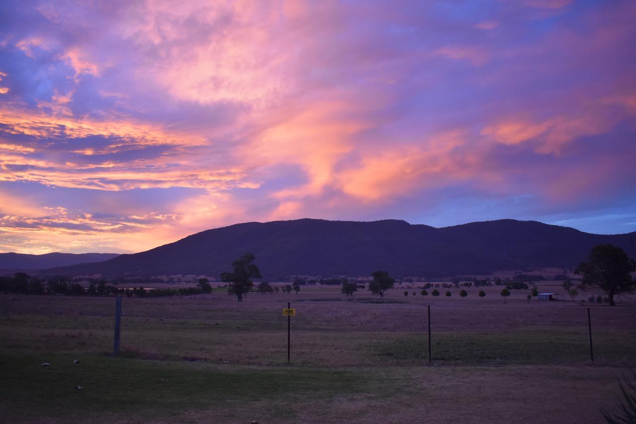 Mountain View Motel Corryong Eksteriør billede