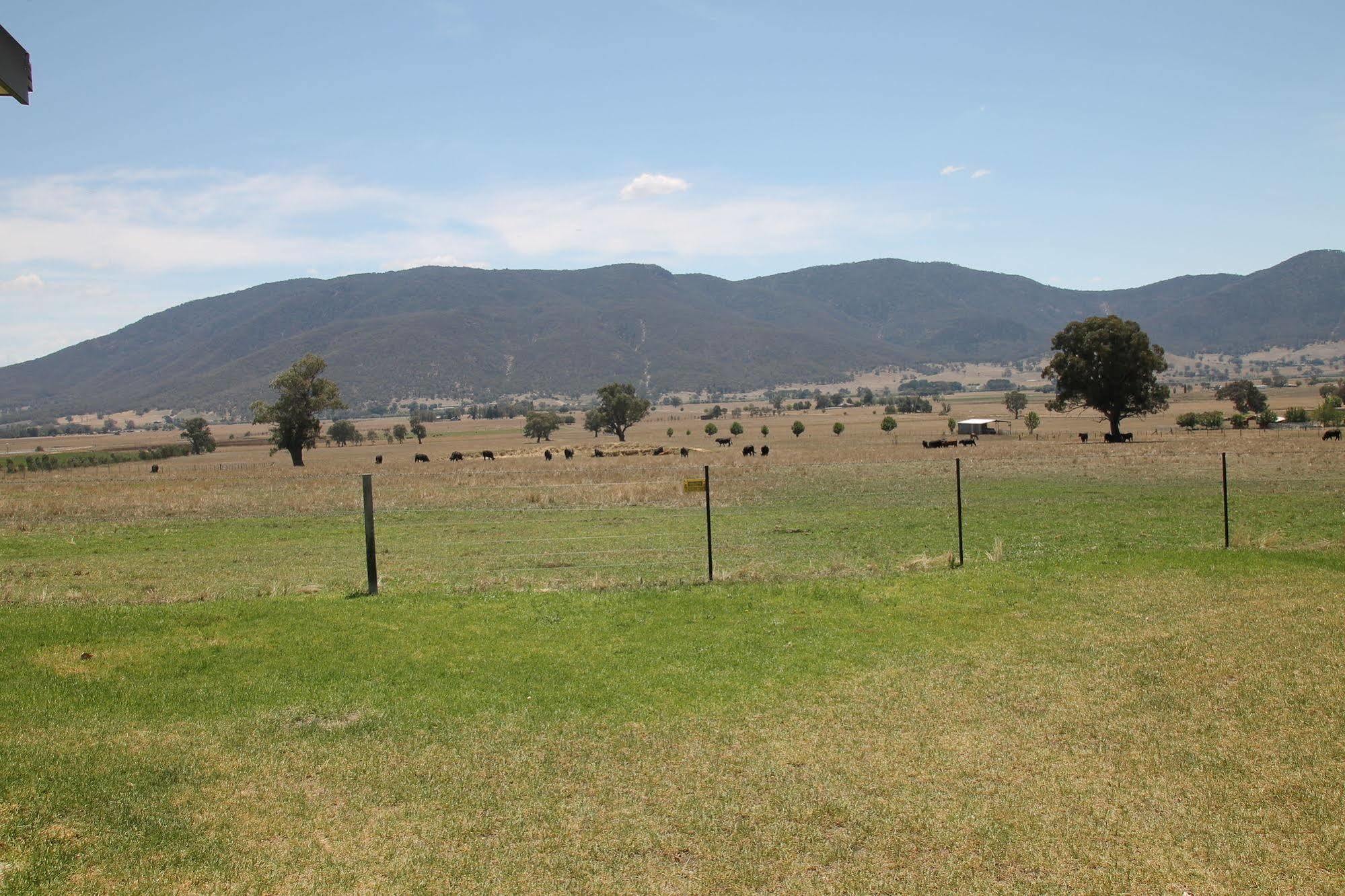 Mountain View Motel Corryong Eksteriør billede